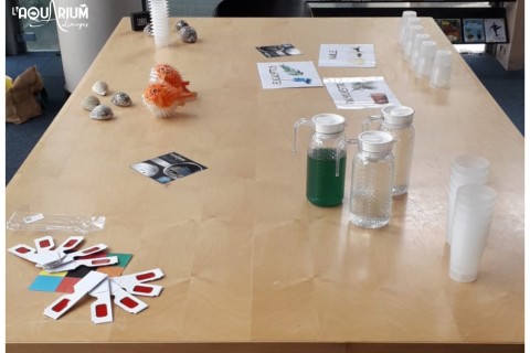 Nos petits RDV du mercredi aprèm