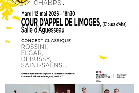Concert classique à la cour d'appel avec l'orchestre « La clef des champs »