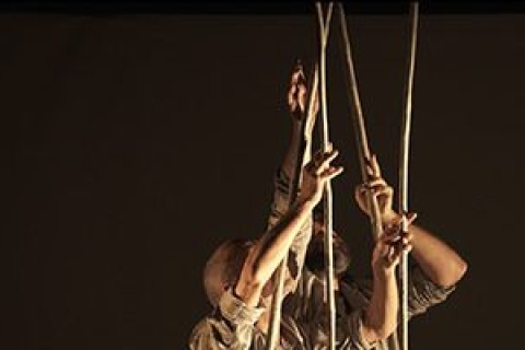 Spectacle d'ouverture - Projet participatif