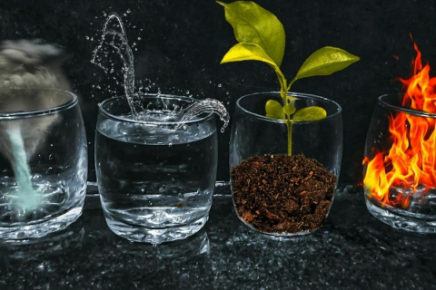 Mes premiers pas au musée - Dis-moi, c'est quoi les 4 éléments ?