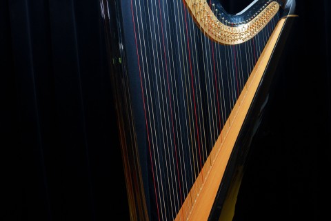 Audition Flûte traversière et Harpe