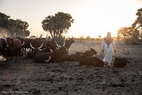 Le CCFD-Terre Solidaire vous invite pour un échange autour du pastoralisme au Tchad