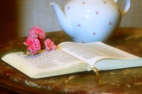Livre d’artistes