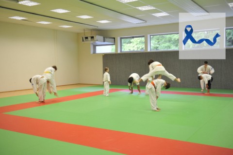 l'ASPTT JUDO vous ouvre ses portes...