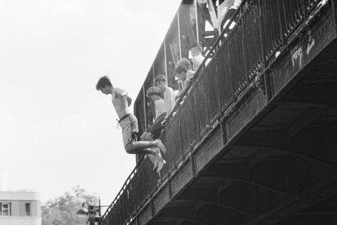 Eclosions imprévues