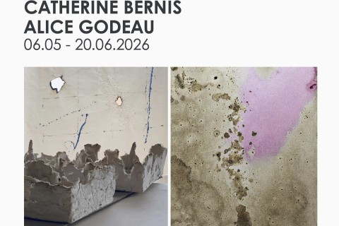 "Ce que la matière garde" de Catherine Bernis & Alice Godeau