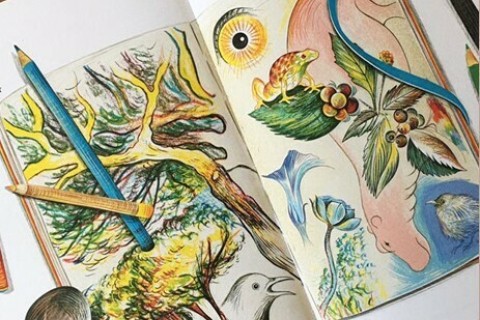 Exposition Sur les sentiers sensibles d’Isabelle Simler