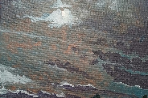 Exposition « Dynamiques du paysage » de Stéphanie Manchon