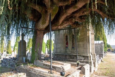 Cimetière de Louyat : Les femmes dans la Résistance