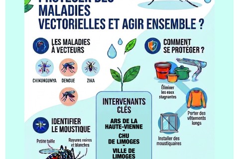 Conférence grand public, Moustique tigre