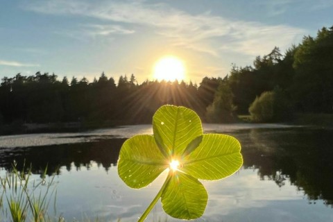 Atelier décor sur porcelaine - Amulette chargée en énergie
