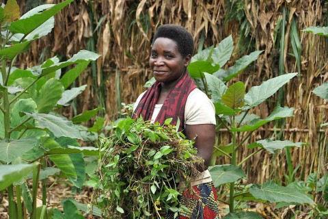 Soirée musicale avec la chorale Bell'Avventura