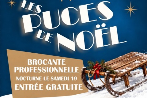 Puces de Noël de Limoges : 3 jours de chine au Grand Palais (13, 19 et 20 décembre)