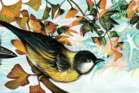 Atelier dessin de plumes et d'oiseaux avec Isabelle Simler