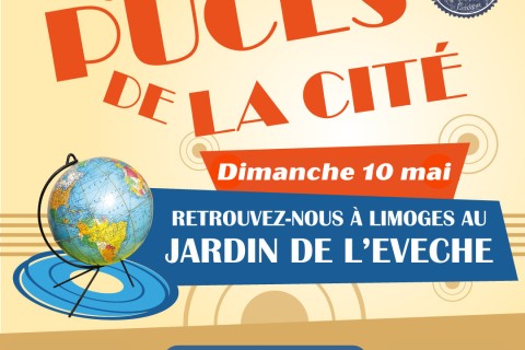 Les puces de la cité