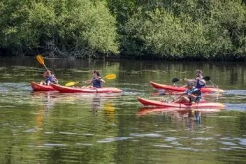 Descentes sur la Vienne en canoë