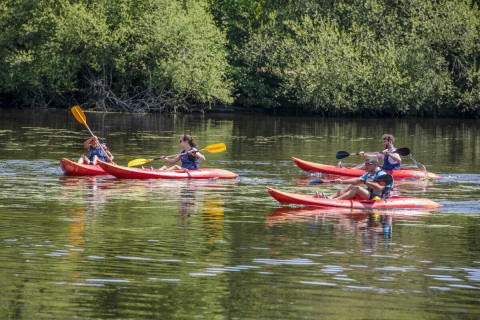 Activités estivales à la base nautique