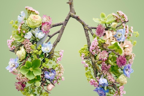 Ma santé : ma priorité !