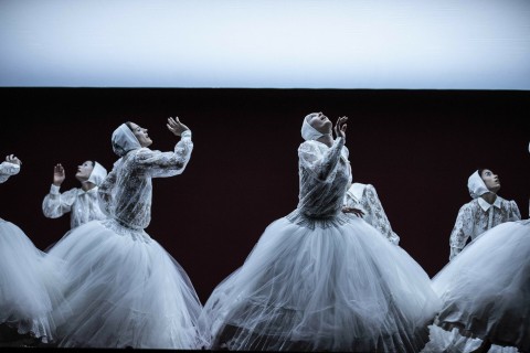 La belle au bois dormant