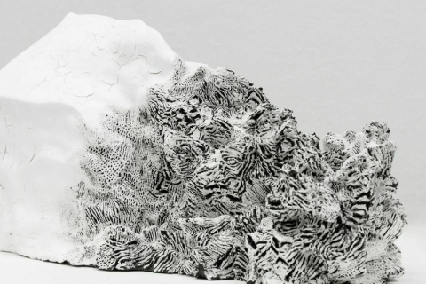 Visite-atelier adultes - De l’énergie des oeuvres à l’énergie du corps