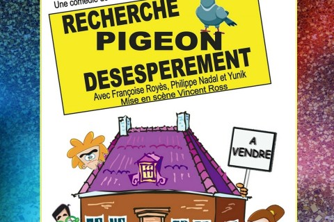 Recherche pigeon désespérément