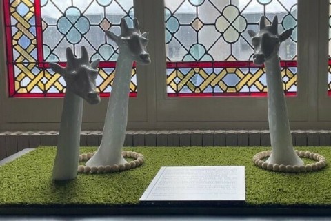 Nouvelle exposition à l’hôtel de ville : un savoir-faire d’exception