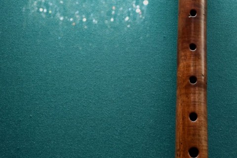 Caprice & concertos